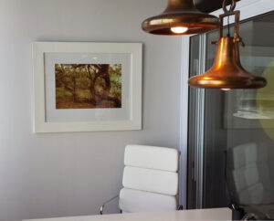 gallery2